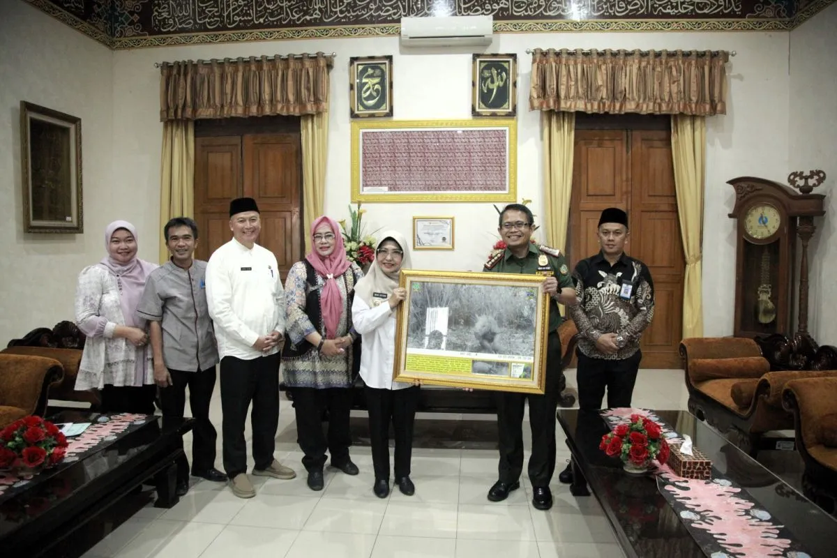 Upaya Pelestarian Badak Jawa: TNUK Kembangkan Penangkaran di JRSCA
